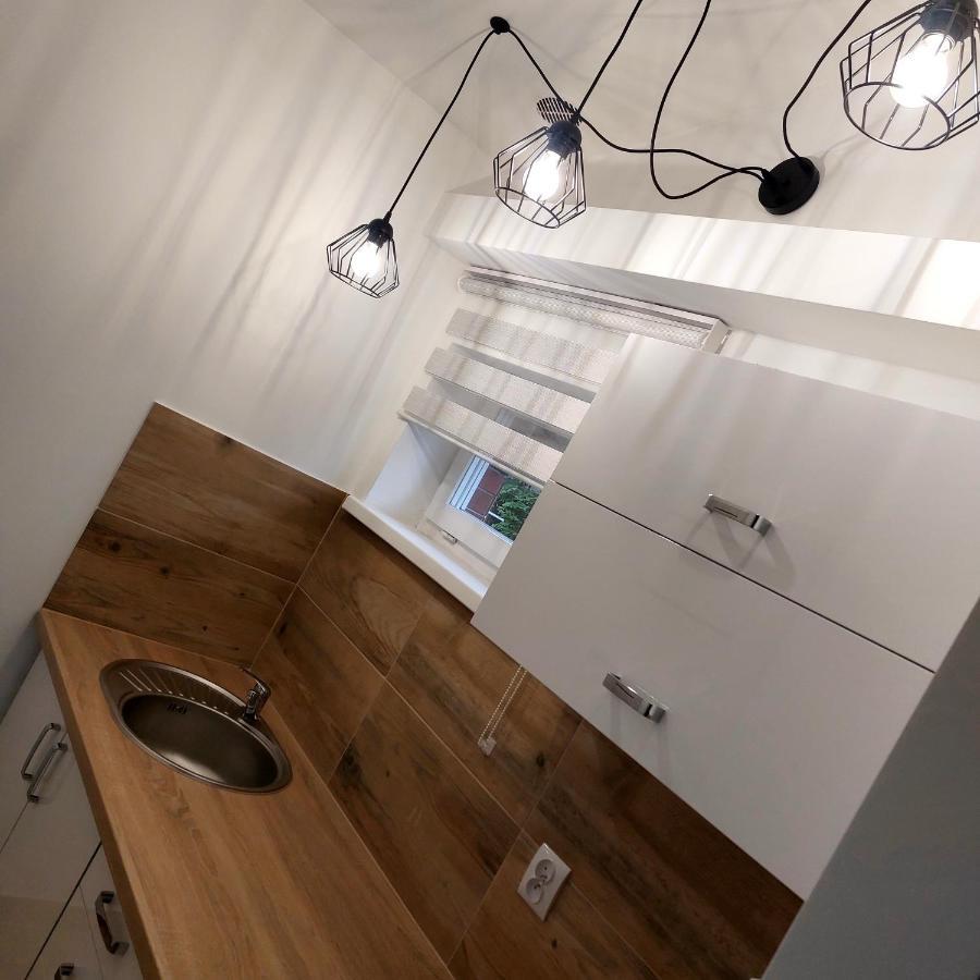 Przy Bialym Koniu Apartment
