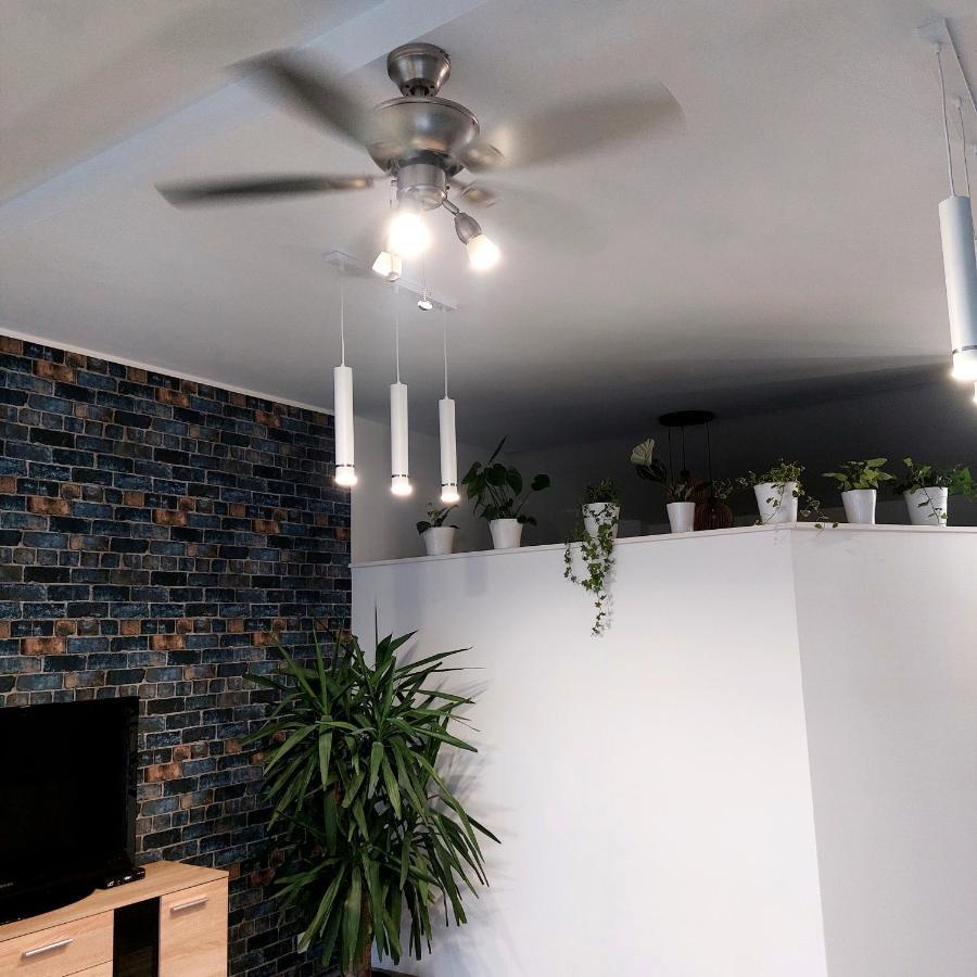 Apartment Przy Bialym Koniu *